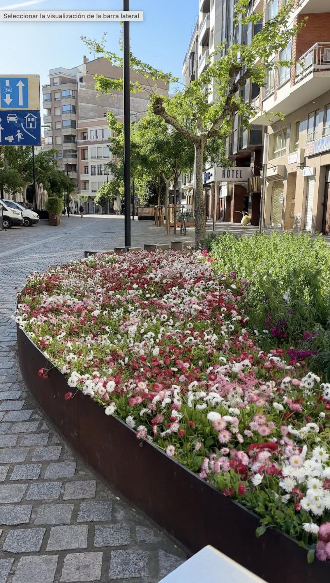 Esencia Del Casco Antiguo Daire Logroño Dış mekan fotoğraf